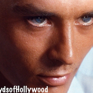 Alain Delon Handsome French Actor International Star Extreme Close Up Purple Noon Photograph 1960