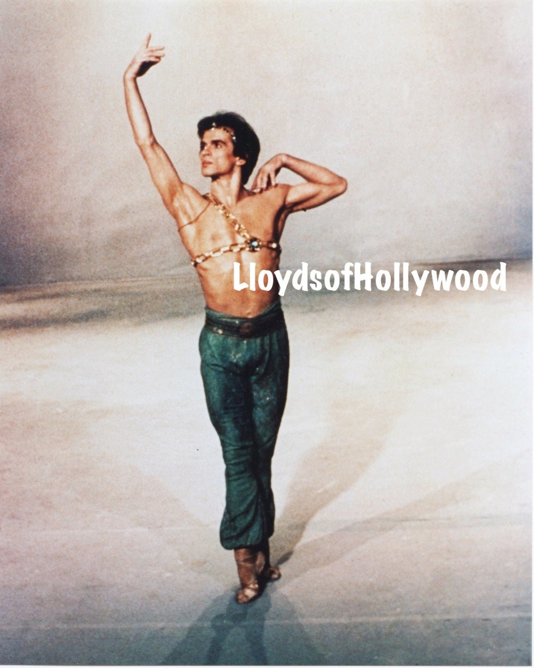 ルドルフ・ヌレエフ写真集 ルドルフ・ヌレエフ ハンサムな俳優 前世紀のロシアの偉大なバレエ