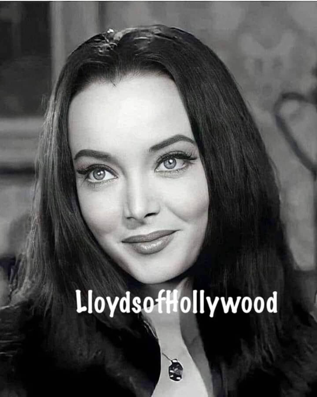Carolyn Jones Lovely Actress Plays Morticia Adams the Adams Family