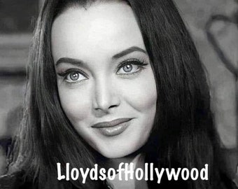 Carolyn Jones Lovely Actress Plays Morticia Adams  The Adams Family  Kooky and Spooky  Horror Comedy TV  Show Photograph 1964