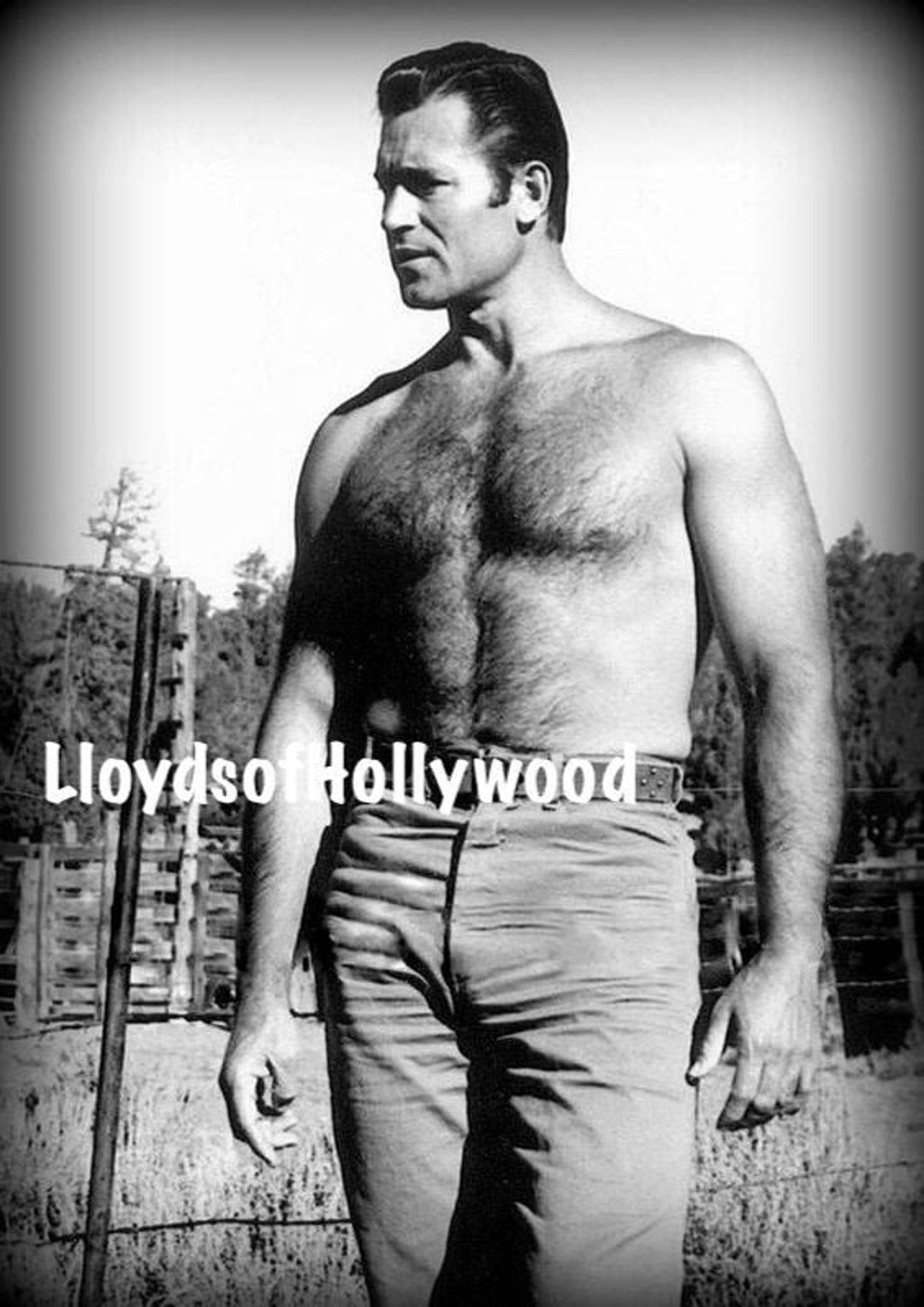 Clint Walker Cheyenne Bodie Handsome TV Hunk Hairy Chest Midcentury