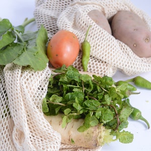 May include: A white mesh produce bag filled with fresh produce, including green leafy vegetables, a red tomato, green peppers, a bunch of mint, and a white radish. Two brown potatoes are in a separate white mesh bag.