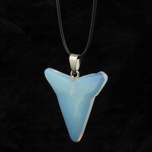 May include: A shark tooth pendant necklace. The pendant is a light blue and white colour, with a polished, opalescent finish. The shark tooth is suspended from a black cord with a silver-coloured metal clasp.