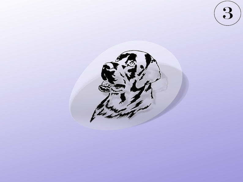 Labrador Retriever Decal Variety of choices and available in many colors