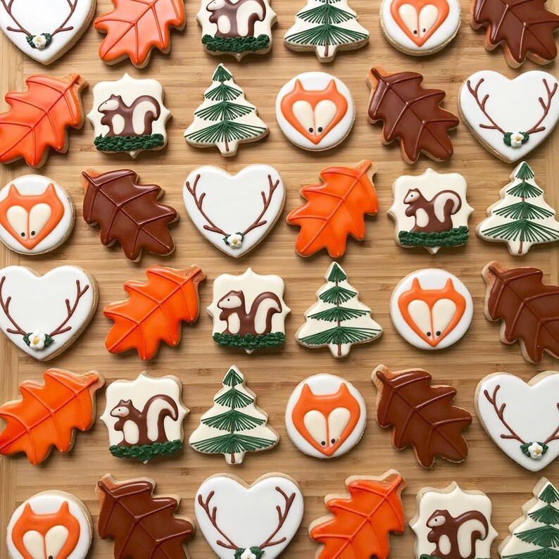 Woodland Creature Shortbread Cookies with Royal Icing Etsy