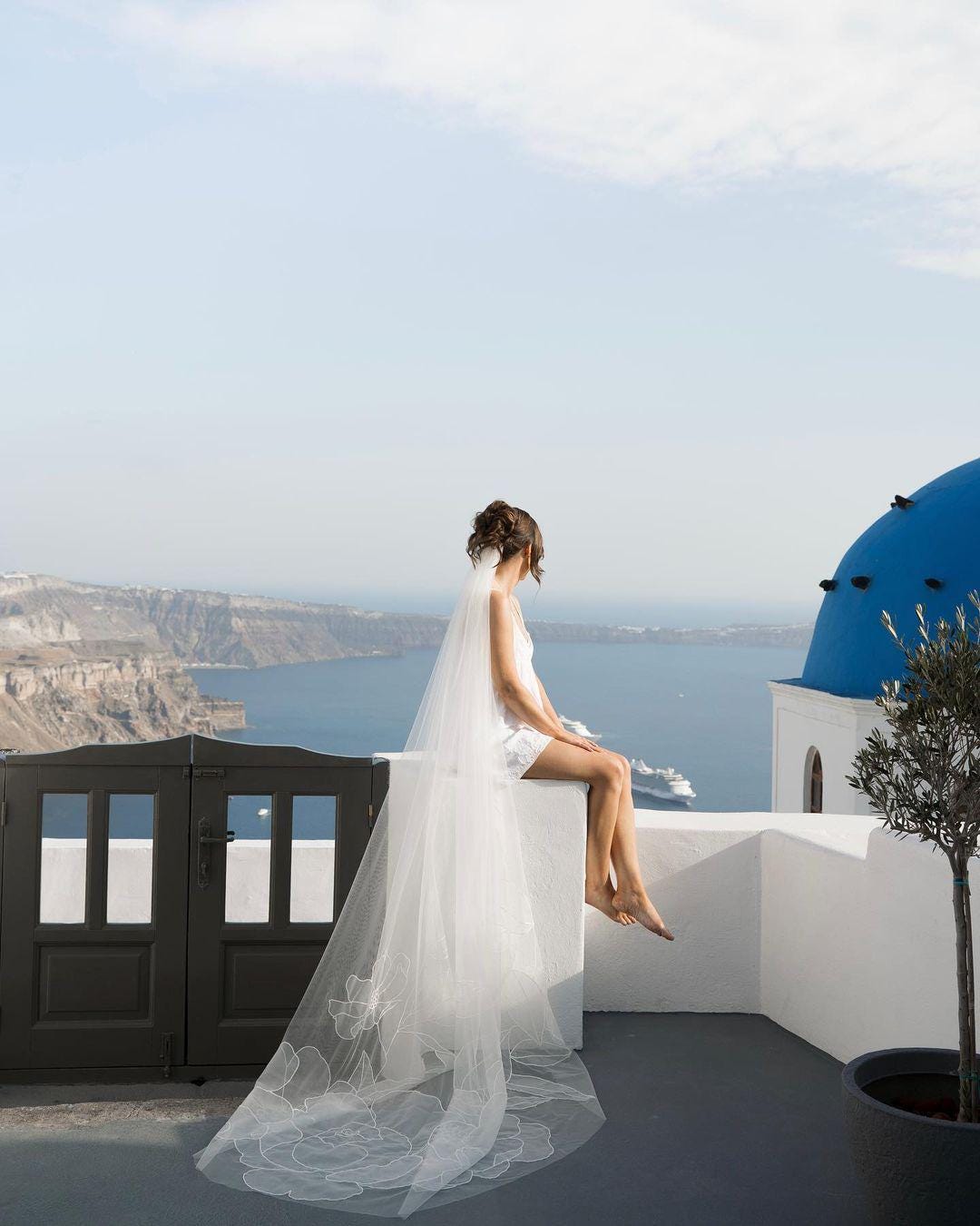 LILLY /cathedra Organza Floral Veil/ Custom Veil/ Cathedral Wedding Veil/  Wedding Veil | TA.VO70 - Etsy Australia