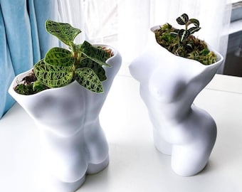 Body Succulent Planter Set of Two | Succulent Planter with Drainage | Planter for Small Plants | Plant Lover Gift Idea | Indoor Planter Pot