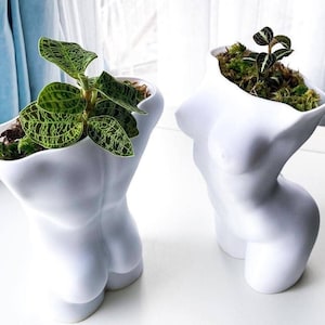 Body Succulent Planter Set of Two | Succulent Planter with Drainage | Planter for Small Plants | Plant Lover Gift Idea | Indoor Planter Pot