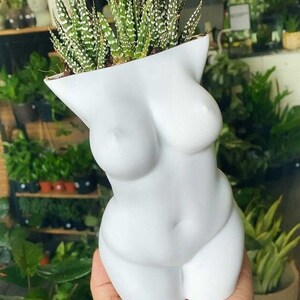 May include: White ceramic planter shaped like a human torso, with a succulent plant growing out of the top.