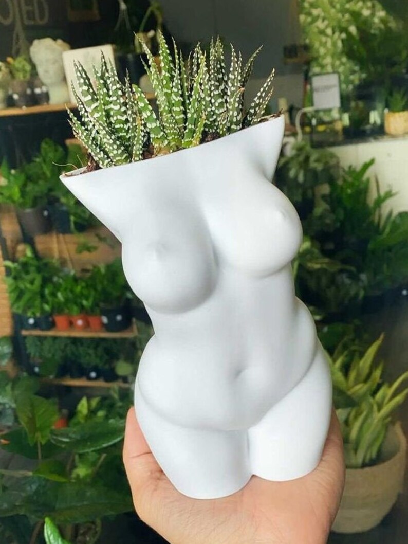 May include: White ceramic planter shaped like a human torso, with a succulent plant growing out of the top.