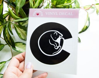 Colorado Cat Decal | Colorado Flag Car Decal
