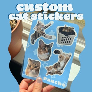 Custom Cat Sticker Sheet