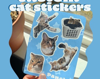 Custom Cat Sticker Sheet