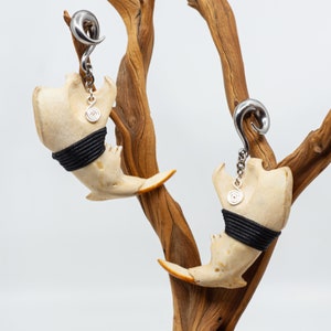 Beaver Jaw Bone Hangers with Silver Spiral Hooks and Charms. Customizable Ear Weights. Ethically Sourced!