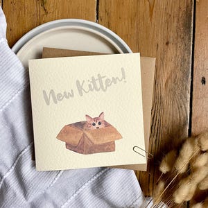 Tarjeta de gatito nuevo / Tarjeta de felicitación linda para gato nuevo / Tarjeta divertida para adopción de mascota / Regalo para amantes de los gatos / Felicitaciones por el nuevo bebé peludo, NP3