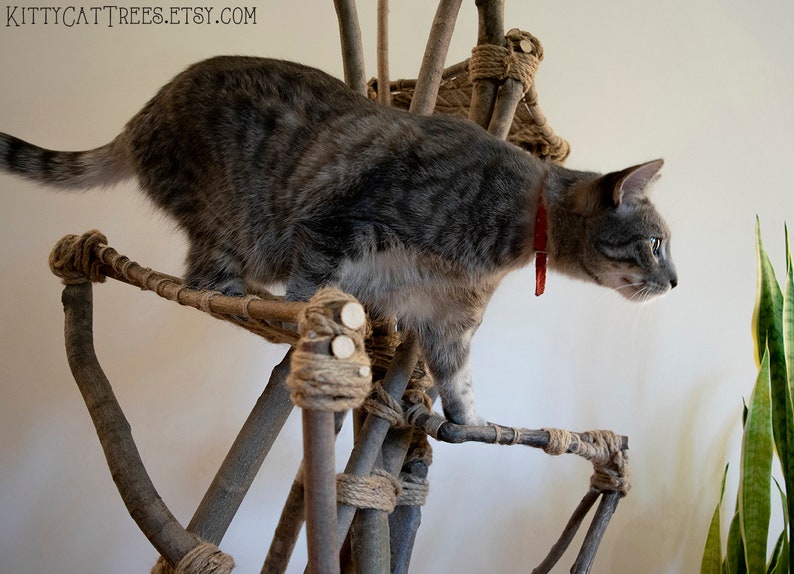 Natural Handmade Cat Tree Etsy