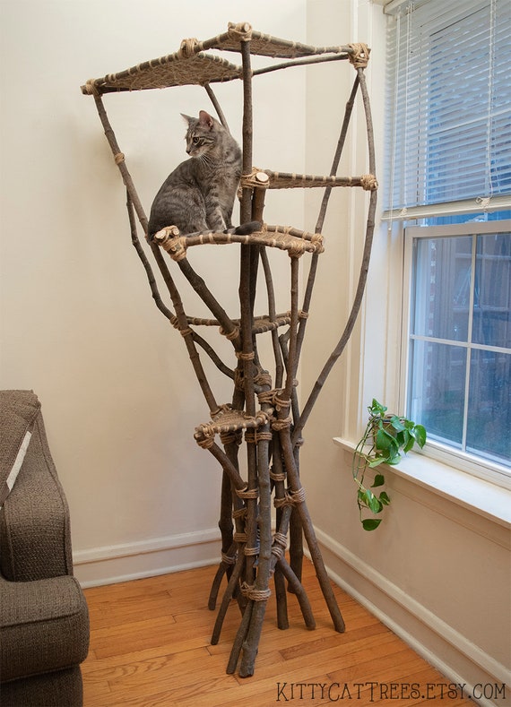 natural cat trees