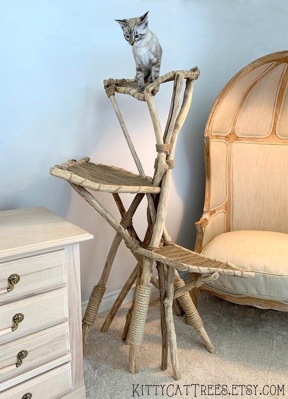 Arbre De Chat Fait Main Naturellement Bois Dos Etsy Arbre De Chat Fait Main Naturellement Bois Dos Etsy