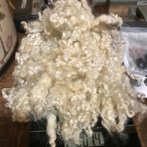 May include: A pile of off-white, curly wool fleece sits on a black digital scale. The scale displays a weight of 0.4, with the unit of measurement labeled. The fleece has a soft, textured appearance.