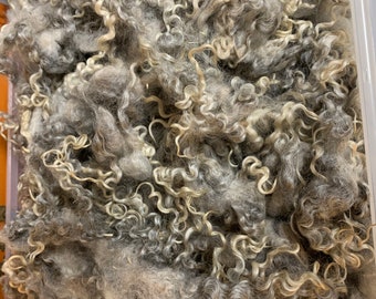 Soft, Curly Gotland clean raw fleece