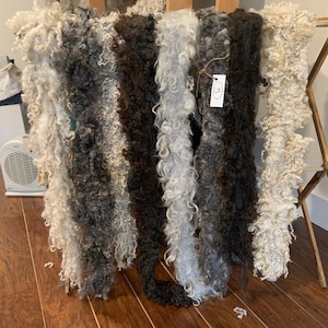 May include: A display of several strands of raw, unprocessed wool in various natural colors, including white, gray, and brown. The wool has a curly, textured appearance and is hanging from a wooden rack. A small tag is attached to one of the strands.