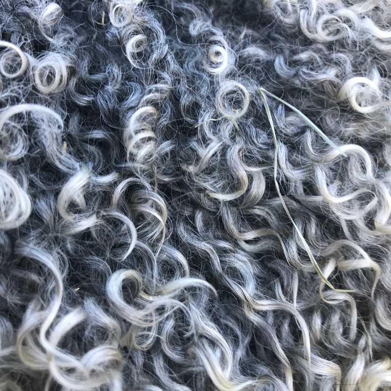 Wool roving natural curly raw gotland wool Etsy