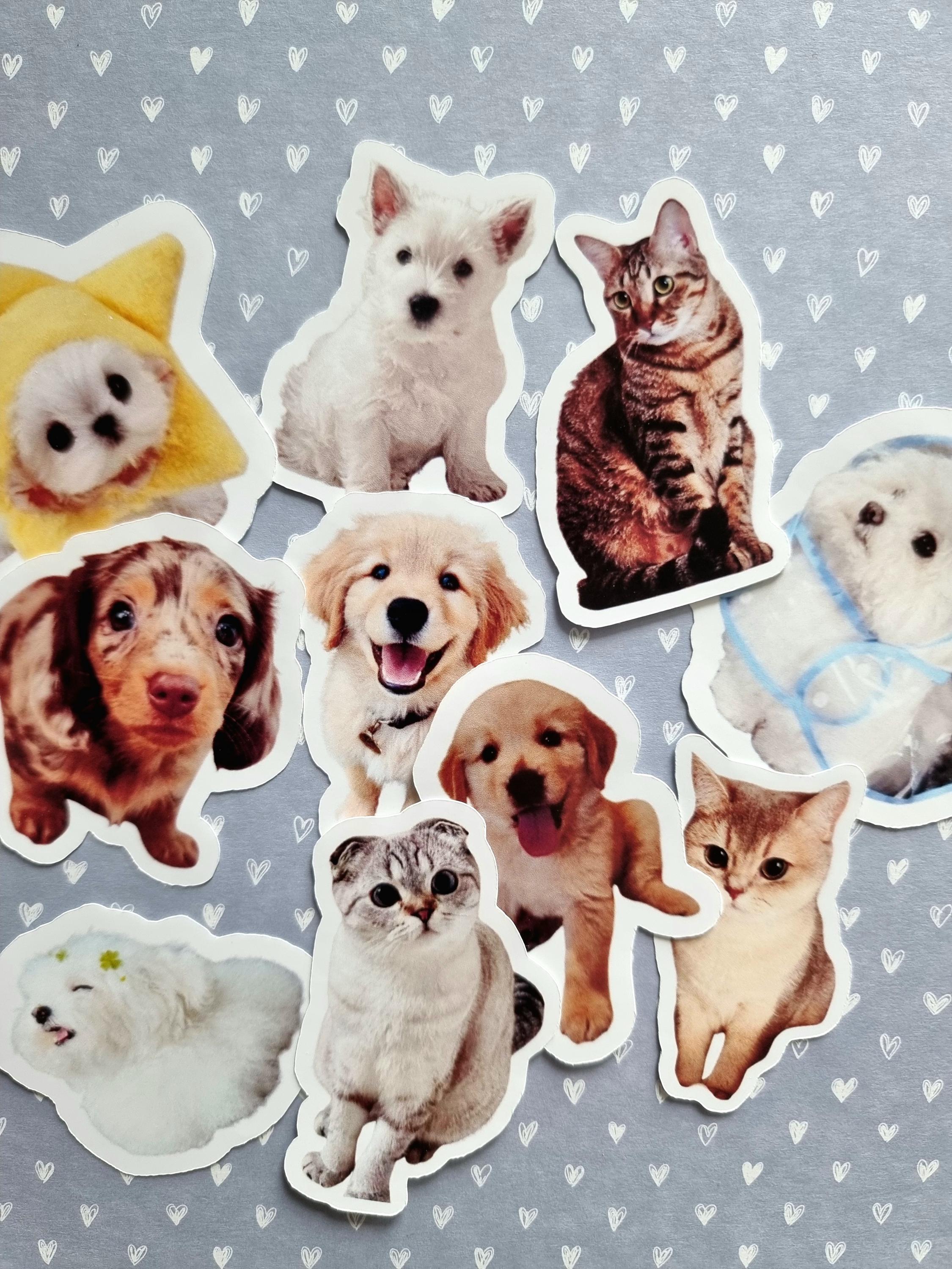 Colorable Pet Stickers Custom Pet Stickers | Personalized Pet Portrait Stickers | Dogs, Cats ...