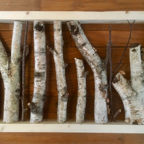 Birch Branches Etsy