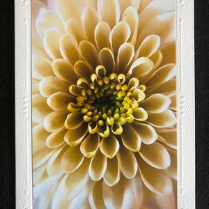 Cartes photo