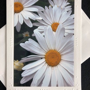 Cartes photo