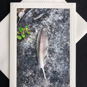Cartes photo
