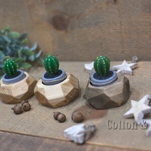 May include: Three small green cactus plants in gray pots are displayed on wooden geometric bases. The bases are made of light and dark wood and have a geometric shape. The bases are arranged in a row on a wooden surface. The background is a wooden wall.
