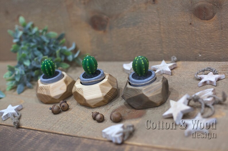 May include: Three small green cactus plants in gray pots are displayed on wooden geometric bases. The bases are made of light and dark wood and have a geometric shape. The bases are arranged in a row on a wooden surface. The background is a wooden wall.