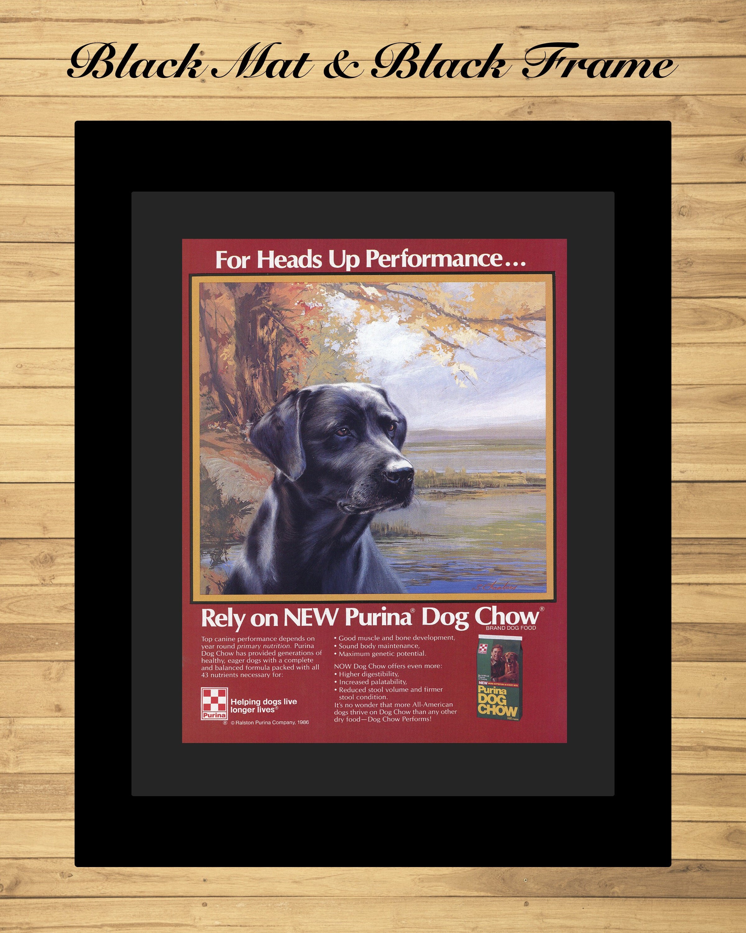 Did Purina Buy Champion Foods