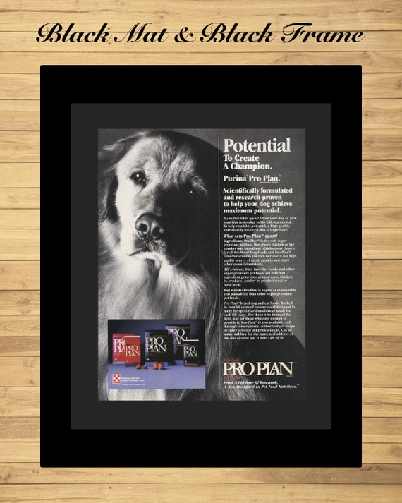 Did Purina Buy Champion Foods