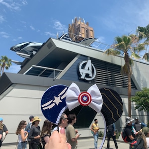 Captain America and The Winter Soldier Mouse Ears, The Falcon and The Winter Soldier Ears, Sam Wilson Ears, Sam Wilson Captain America