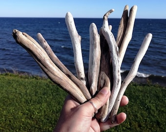 Natuurlijk strandhout, set van 8 lange stok