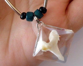 Collier dent de requin - Un seul exemplaire - Pendentif requin maraiche - Transparent sans allergie - Pendentif bien fait - Unisexe