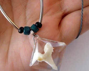 Collar con colgante de diente de tiburón – Diente de Maraiche auténtico, resina, cierre de acero inoxidable