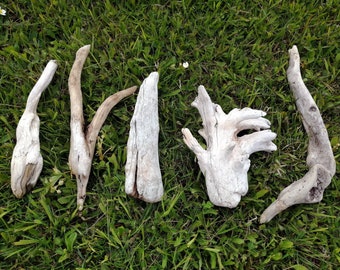 Bois de plage drôle, naturel, ensemble pour aquarium, vivarium, terrarium ou artisanat