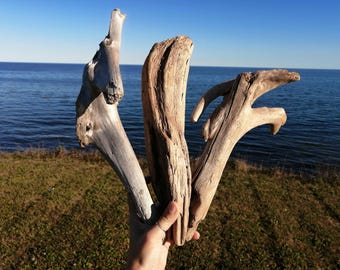 Driftwwod lot, Natural, craft, aquarium, vivarium, terrarium