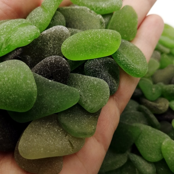 Verre de plage vert authentique, Mélange de pièce moyenne et large, du Québec