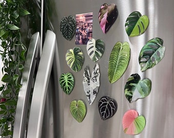 Rare Plant Magnet - 1 pc - Plant Gifts - Plant Parent - Monstera Fridge Magnets - Gloriosum - Anthurium - Houseplant Magnets