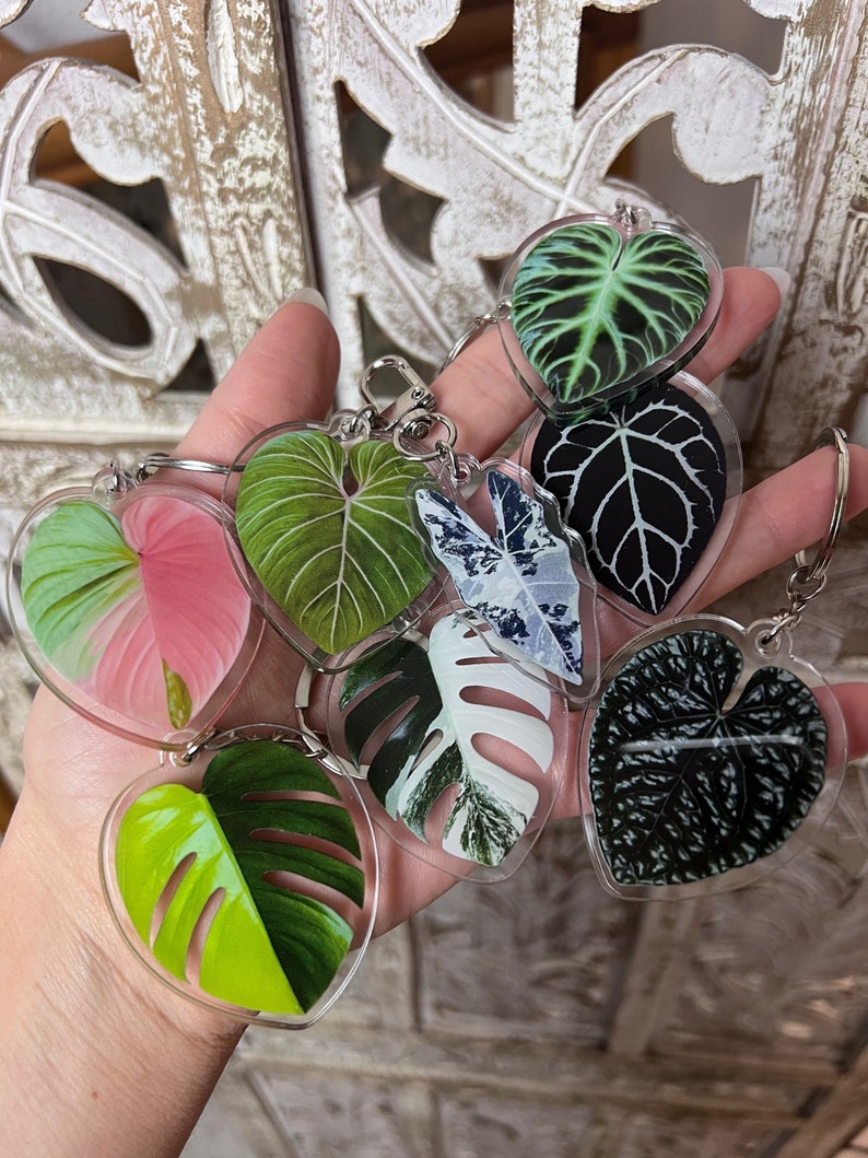 Rare Plant Keychain - Plant Gifts - House Plant Mom Gift - Monstera Albo - Gloriosum - Anthurium - Cute Keyring - Unique - Plant Dad 