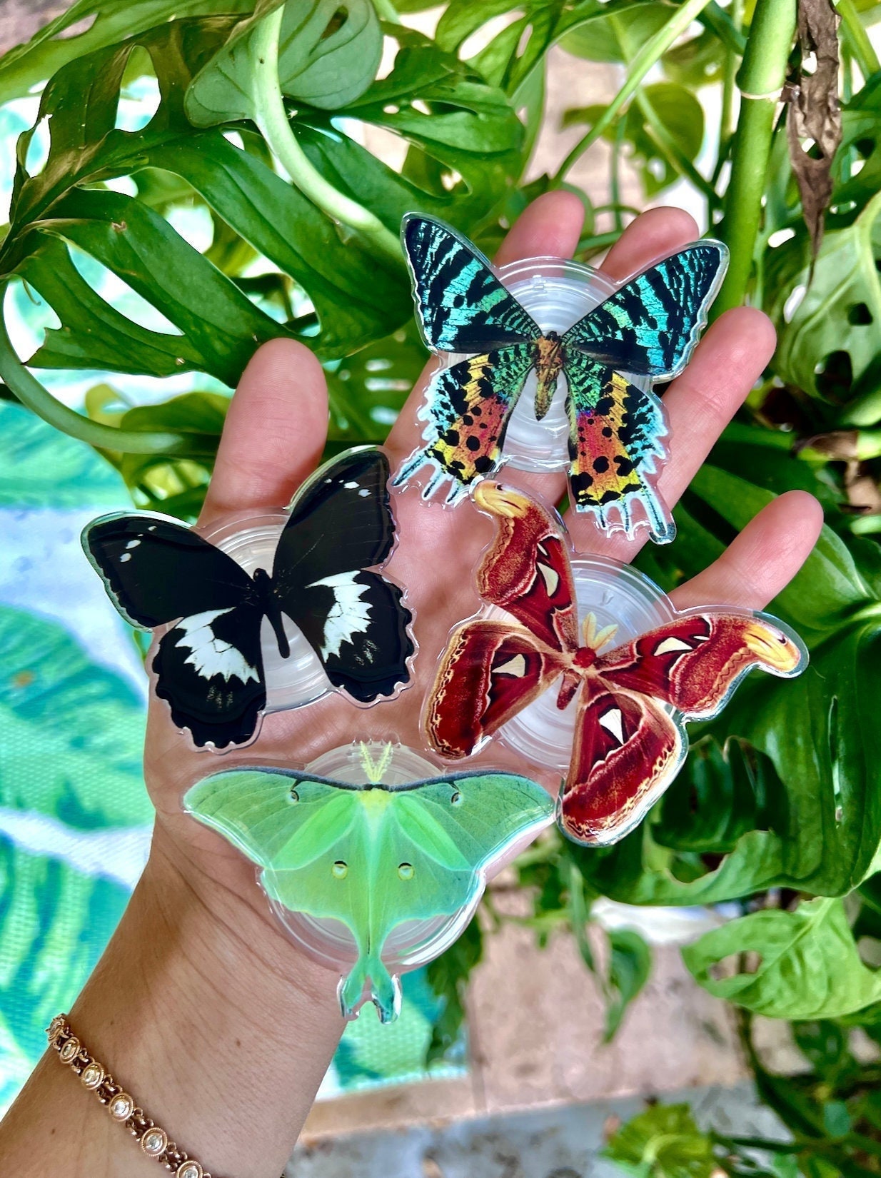Butterfly Popsocket Etsy UK