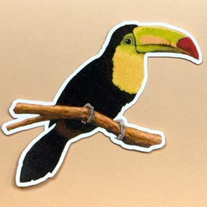Toucan Sticker: Colorful Parrot Art, Vinyl Decal for Laptop