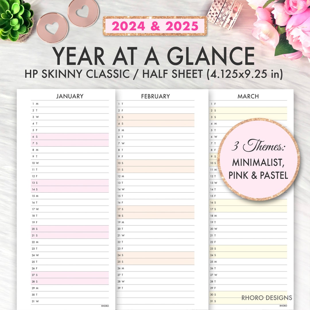 Happy Planner Printable, 2024 2025 Year at A Glance, Skinny Classic Happy Planner Inserts, Happy