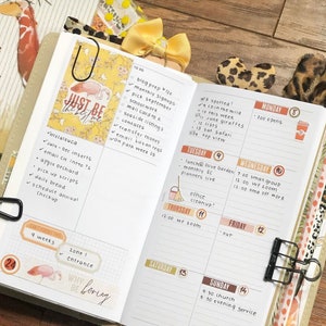 Standard TN Weekly Midori Inserts, Weekly Undated, Travelers Notebook ...