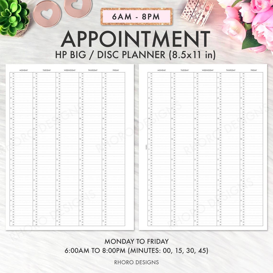 BIG HAPPY PLANNER Printable Insert, Happy Planner Appointment Schedule