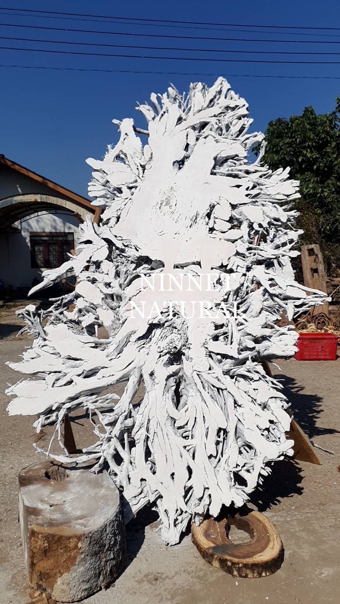 Tree Root Decoration ,tree Root Stand Decoration, Living Room